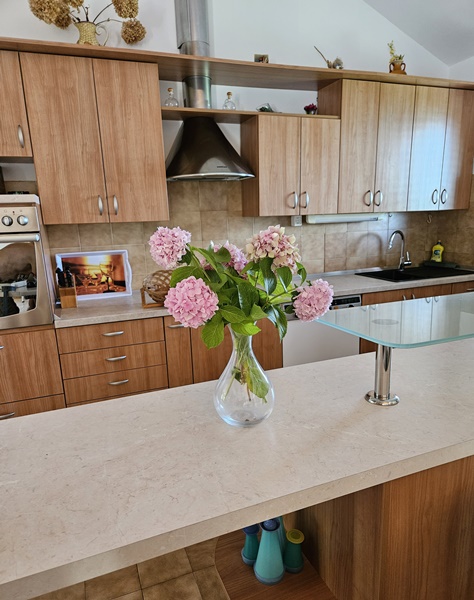 Villa Leone Apartmani